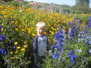 B at the Farm! 